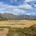 Habitat di torbiera a circa 1800 mt.- Foto p.g.c. EGAP Valle Sesia